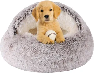 Dog Beds for Small