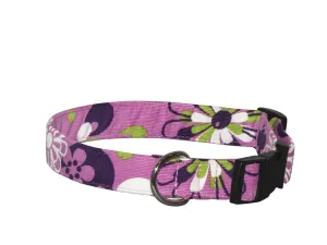 Elmo's Closet Plum Petals Dog Collar