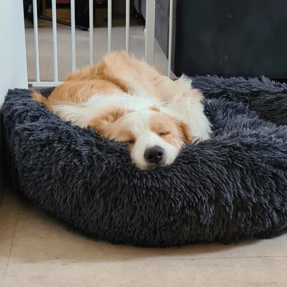 Fur King "Aussie" Calming Dog Bed