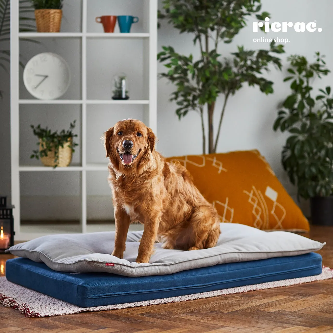 Rectangular Soft Foam Pet Couch- Rinko