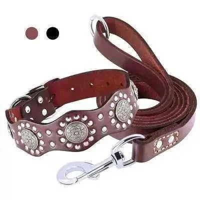 Regal Leather Dog Collar & Lead Set