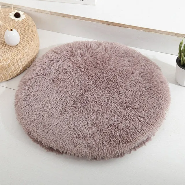 Soft Plush Beds for French Bulldog