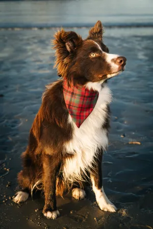 Tartan Dog Bandana