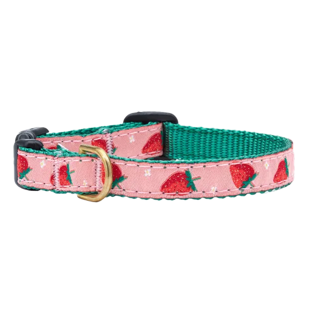 Teacup Collar | Strawberry Fields