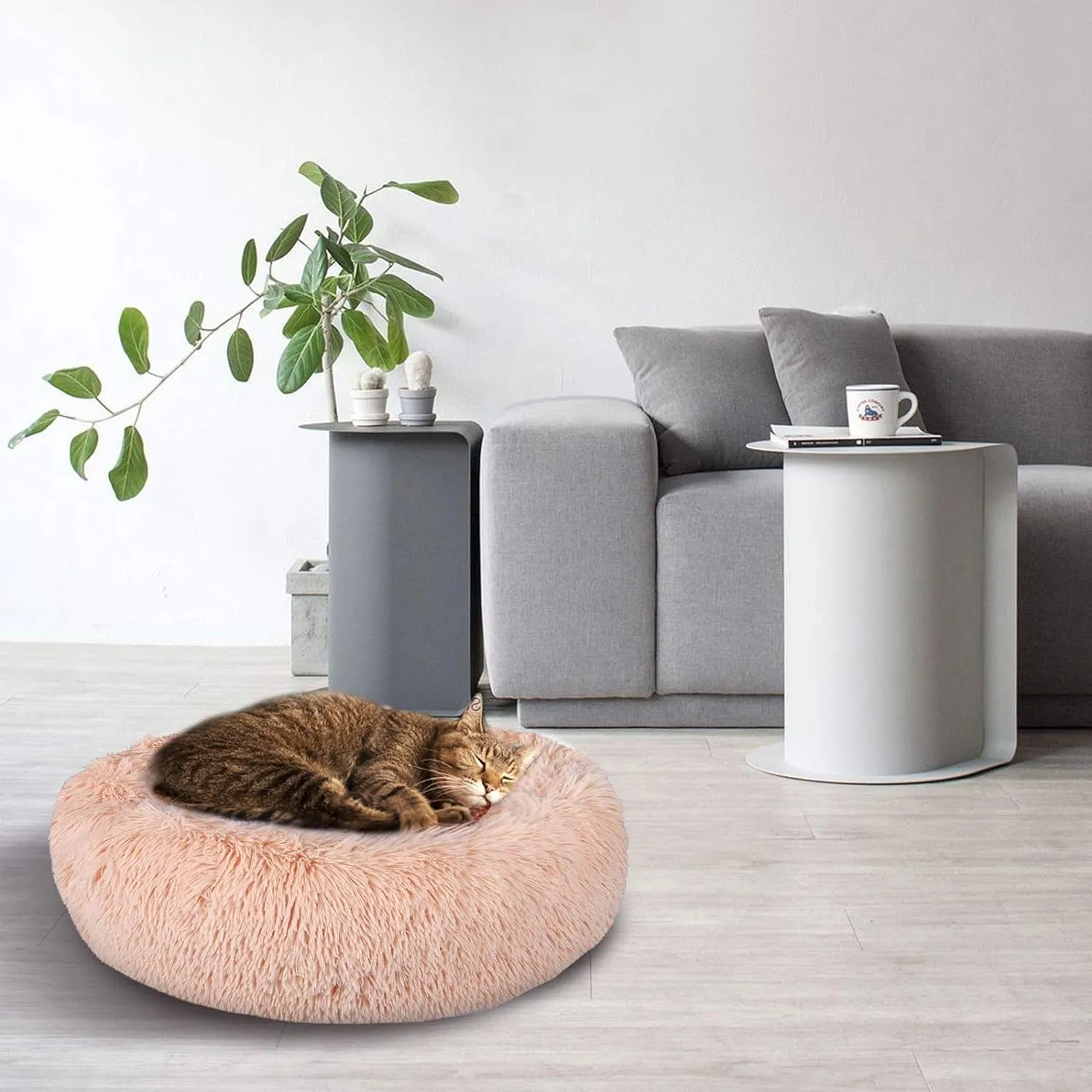 The Ultimate Donut Cuddler for Dogs and Cats - Meet Dreamy Doughnut Bed 🌟🍩