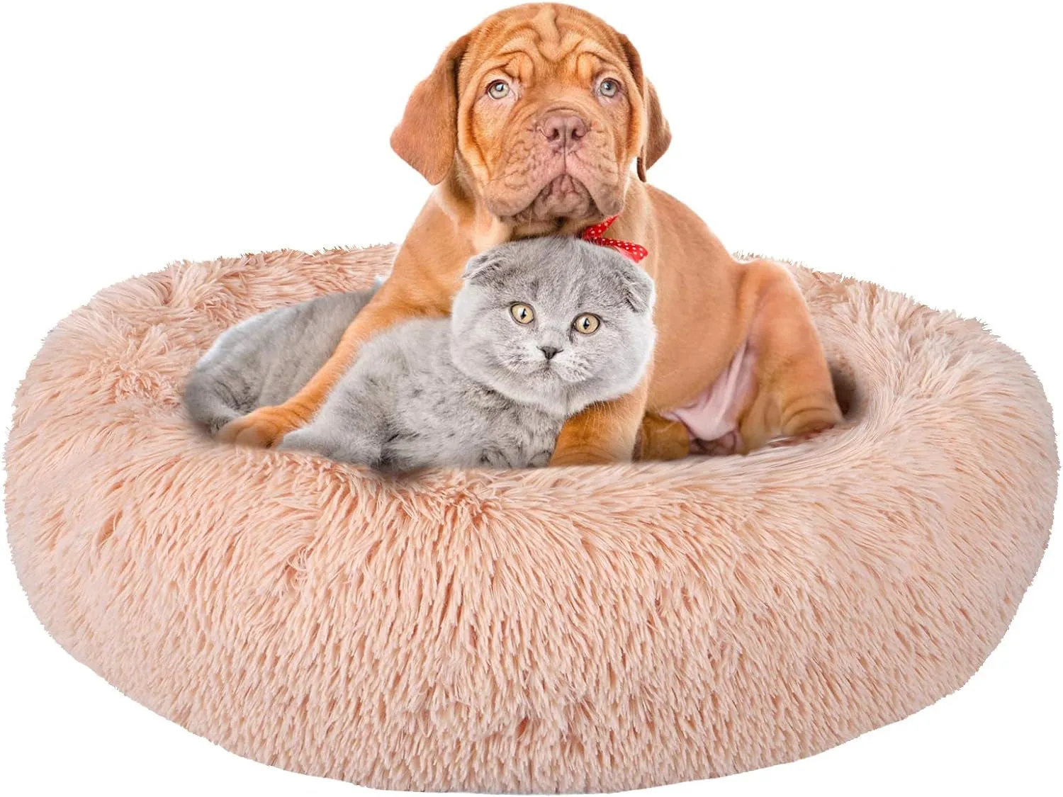 The Ultimate Donut Cuddler for Dogs and Cats - Meet Dreamy Doughnut Bed 🌟🍩