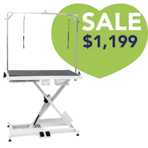 X-Style Electric Lifting Table - 48" Top by PetStore.Direct