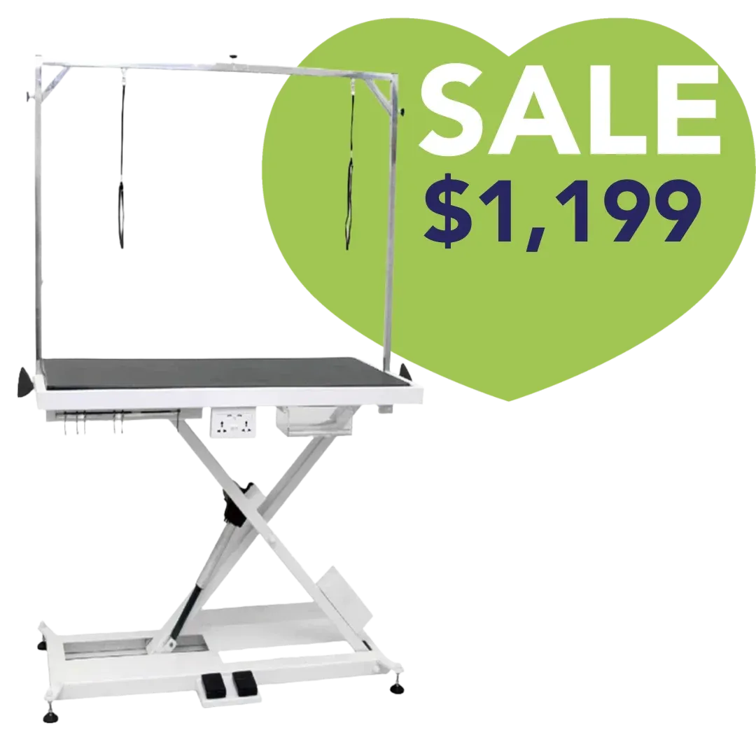 X-Style Electric Lifting Table - 48" Top by PetStore.Direct